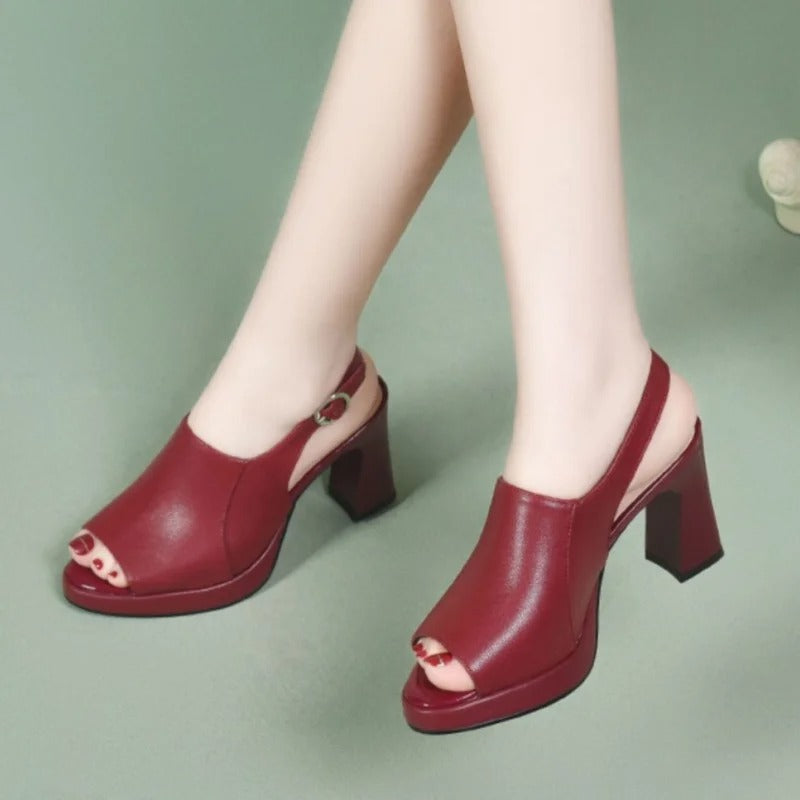 gid://shopify/MediaImage/24956962963550